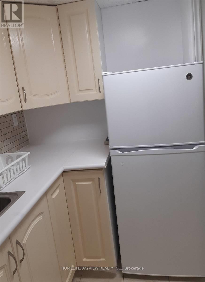 16 Lynch(Lower Level) Road, Toronto (Don Valley Village), Ontario  M2J 2V5 - Photo 10 - C12521596