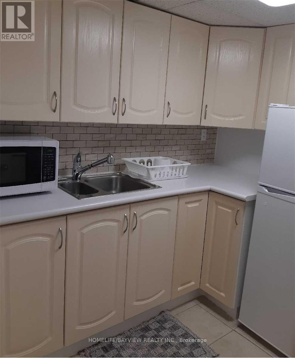 16 Lynch(Lower Level) Road, Toronto (Don Valley Village), Ontario  M2J 2V5 - Photo 8 - C12521596