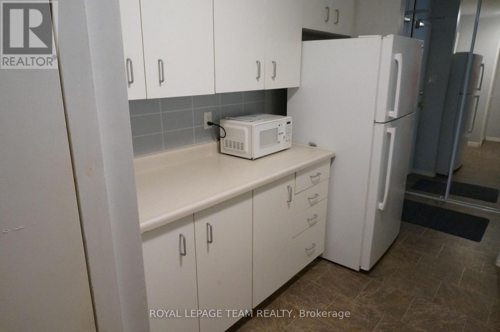 217 - 316 Lorry Greenberg Drive, Ottawa, Ontario  K1T 2P4 - Photo 10 - X12521734