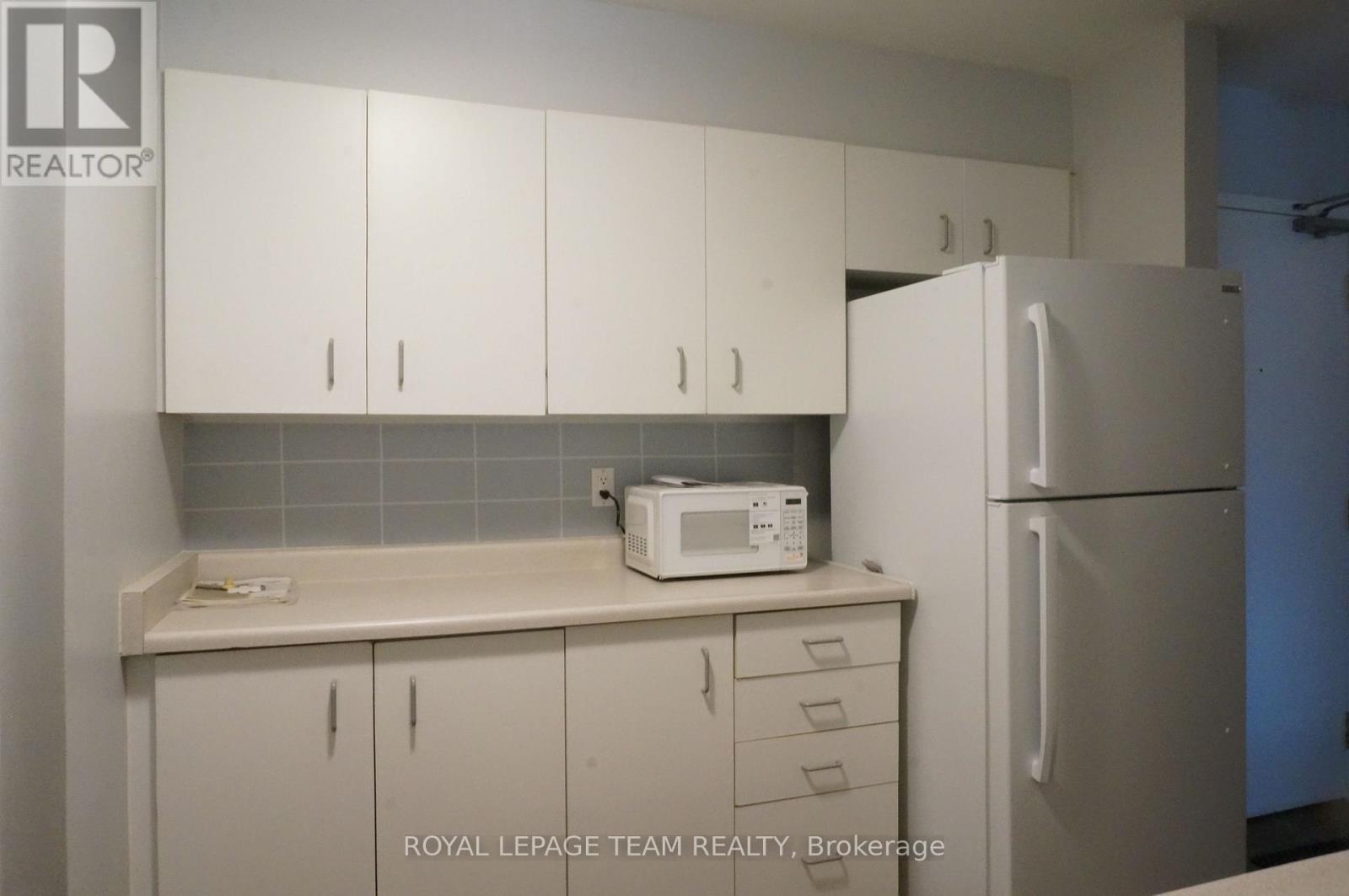 217 - 316 Lorry Greenberg Drive, Ottawa, Ontario  K1T 2P4 - Photo 12 - X12521734