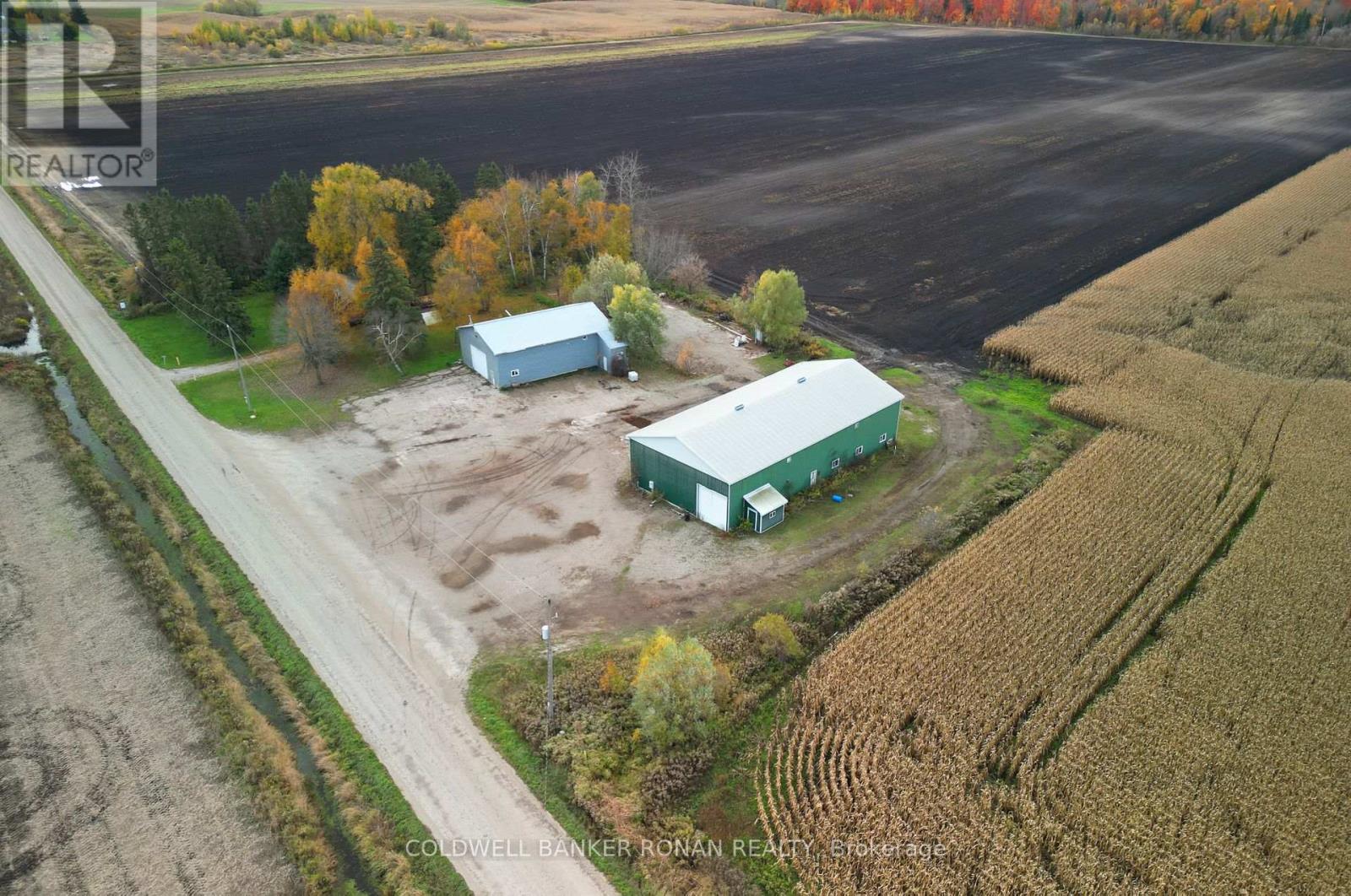 6336 Concession Road 7, Adjala-Tosorontio, Ontario  L0M 1J0 - Photo 13 - N12521652