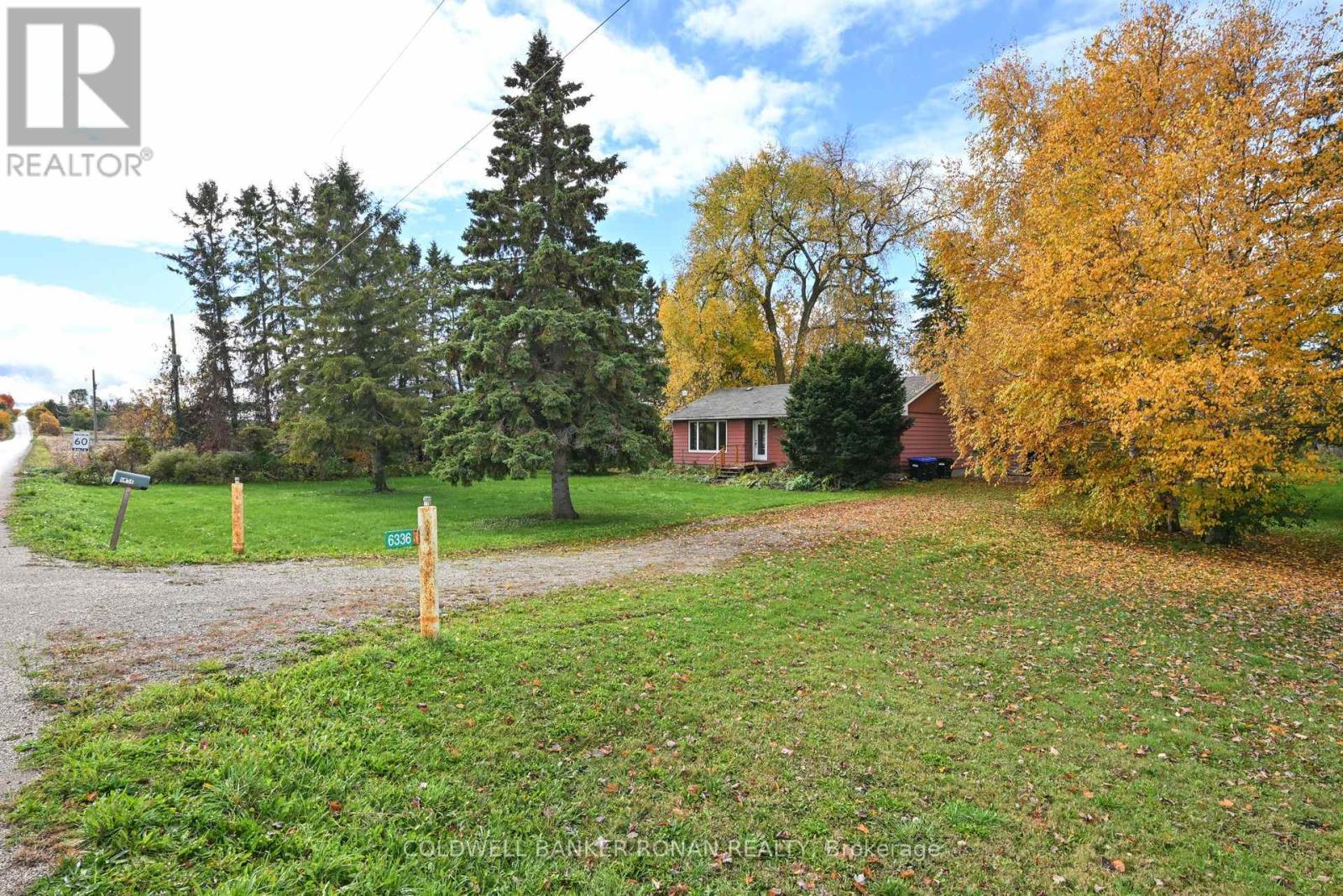 6336 Concession Road 7, Adjala-Tosorontio, Ontario  L0M 1J0 - Photo 21 - N12521652