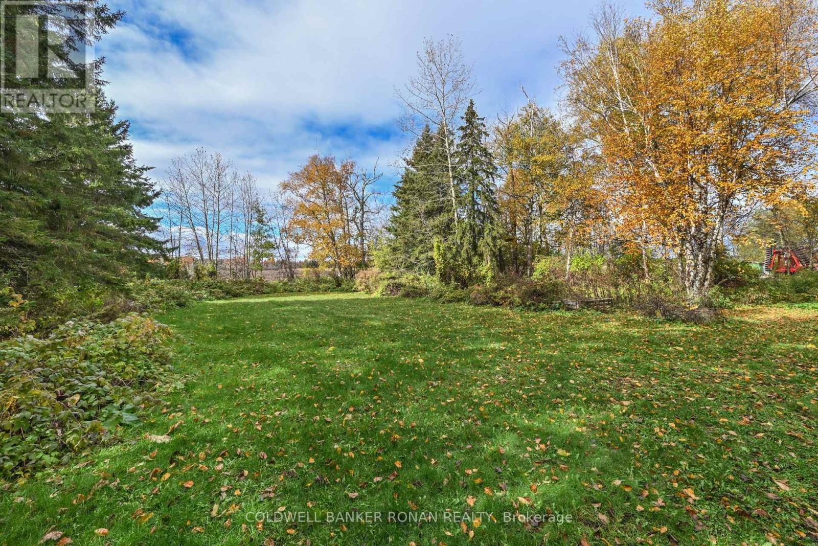 6336 Concession Road 7, Adjala-Tosorontio, Ontario  L0M 1J0 - Photo 38 - N12521652