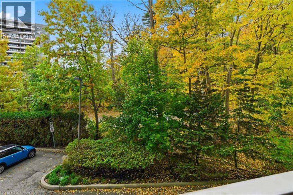 77 Governors Road Unit# 207, Dundas, Ontario  L9H 7N8 - Photo 34 - 40783979