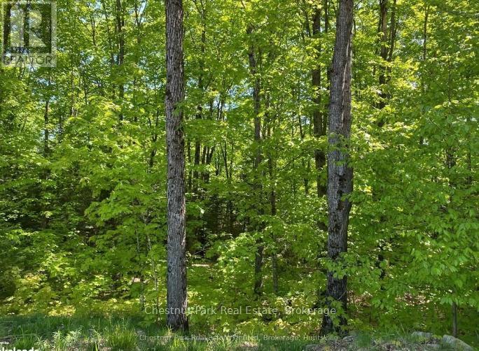 Lot 11 Millie's Way, Armour, Ontario P0A 1C0 - Photo 6 - X12521764