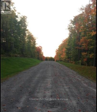 Lot 11 Millie's Way, Armour, Ontario P0A 1C0 - Photo 7 - X12521764