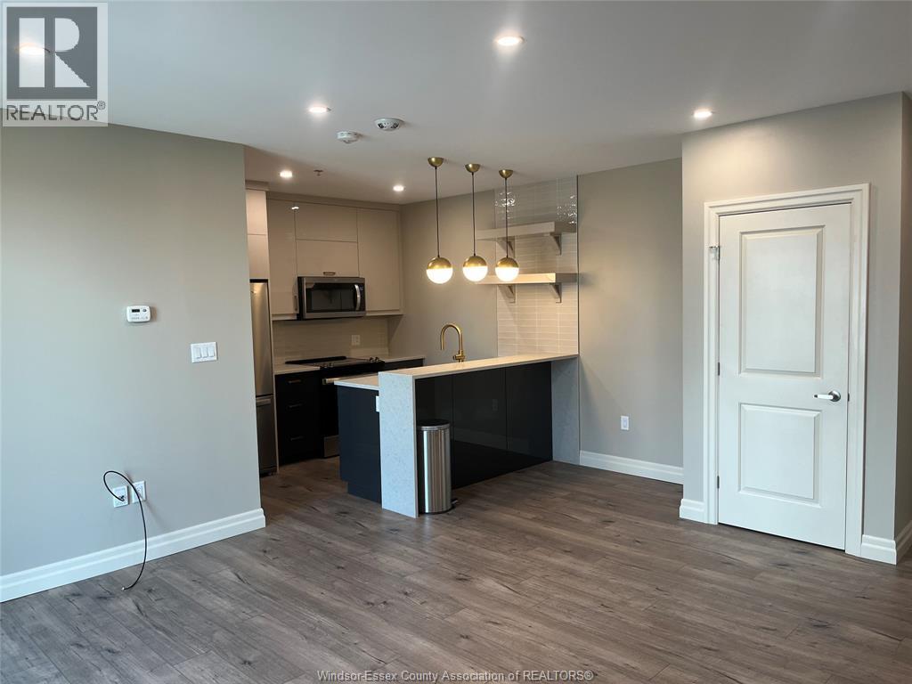 531 Pelissier Street Unit# 303, Windsor, Ontario  N9A 4L2 - Photo 6 - 25028202