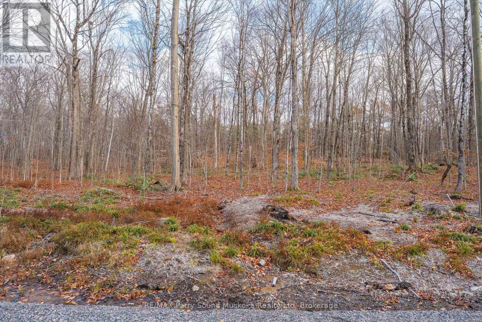 Part 19 Standing People Road, Seguin, Ontario  P2A 2W8 - Photo 10 - X12509364