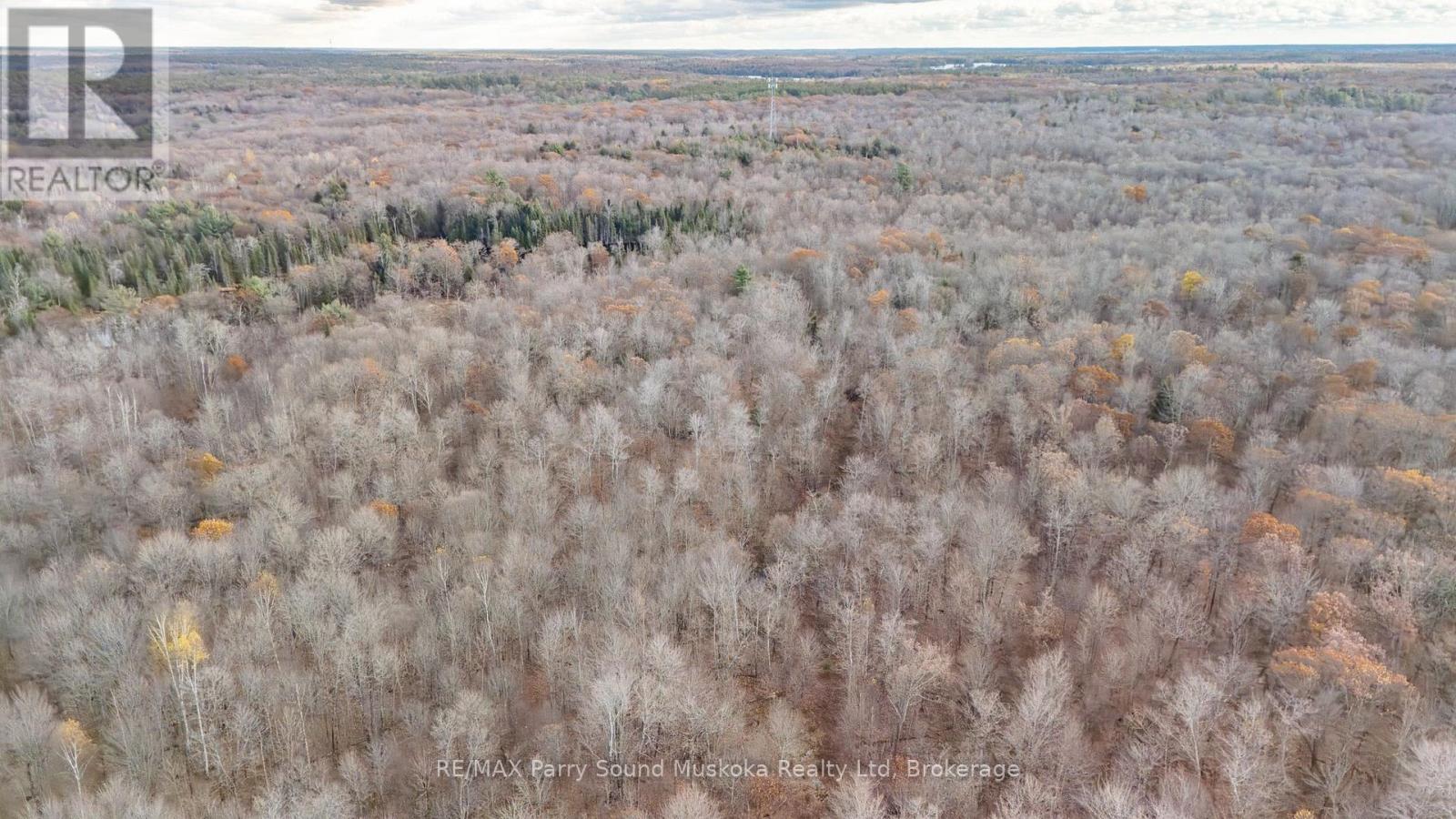 Part 19 Standing People Road, Seguin, Ontario  P2A 2W8 - Photo 9 - X12509364