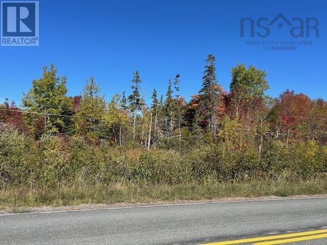 Lot 2b Big Baddeck Road, Baddeck, Nova Scotia  B0E 1B0 - Photo 5 - 202525830