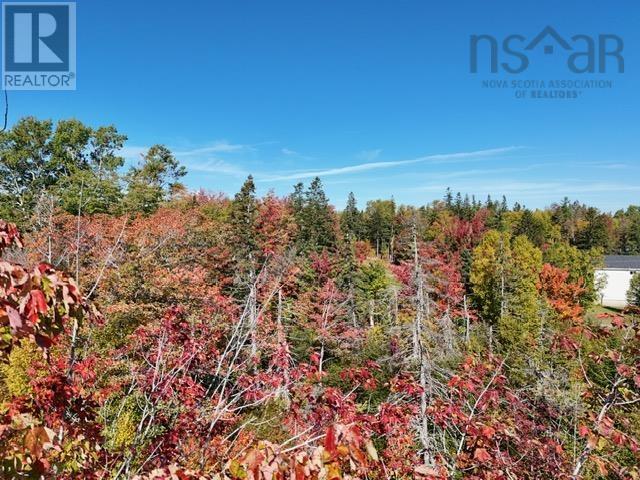 Lot 2b Big Baddeck Road, Baddeck, Nova Scotia  B0E 1B0 - Photo 6 - 202525830