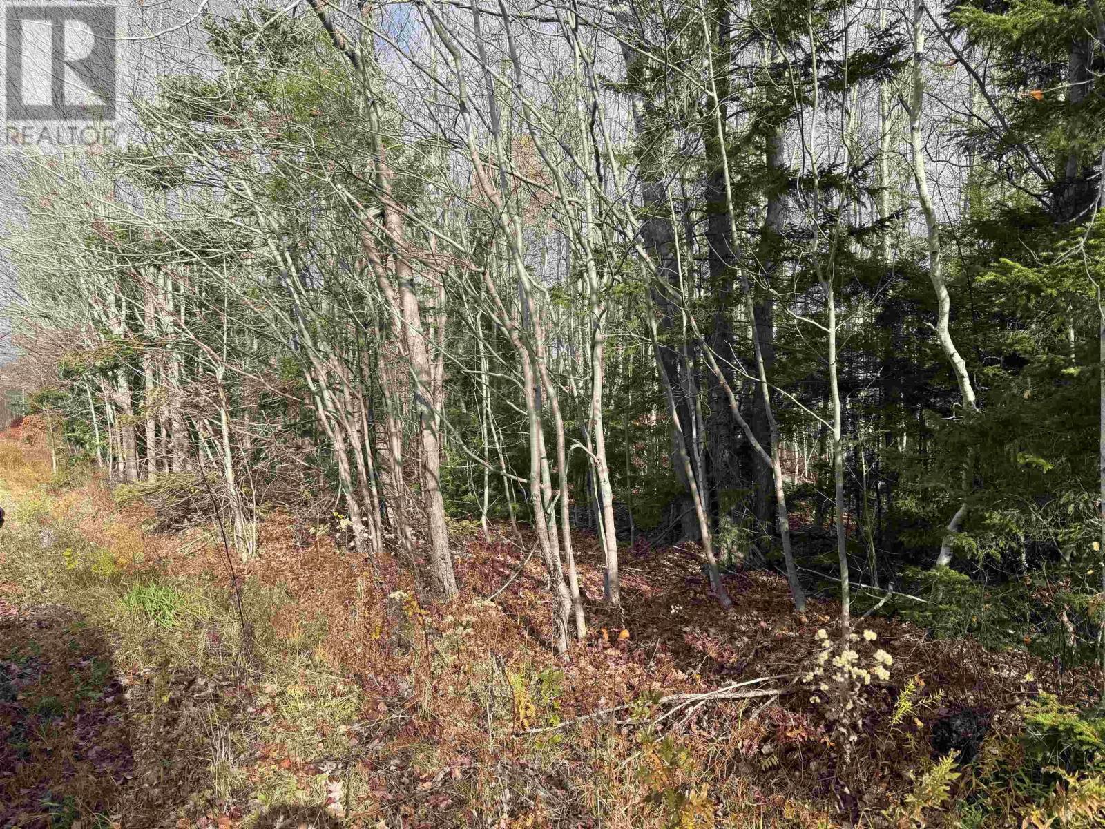 Lot Pid#60421732 Highway 325, Blockhouse, Nova Scotia  B0J 1E0 - Photo 3 - 202527341