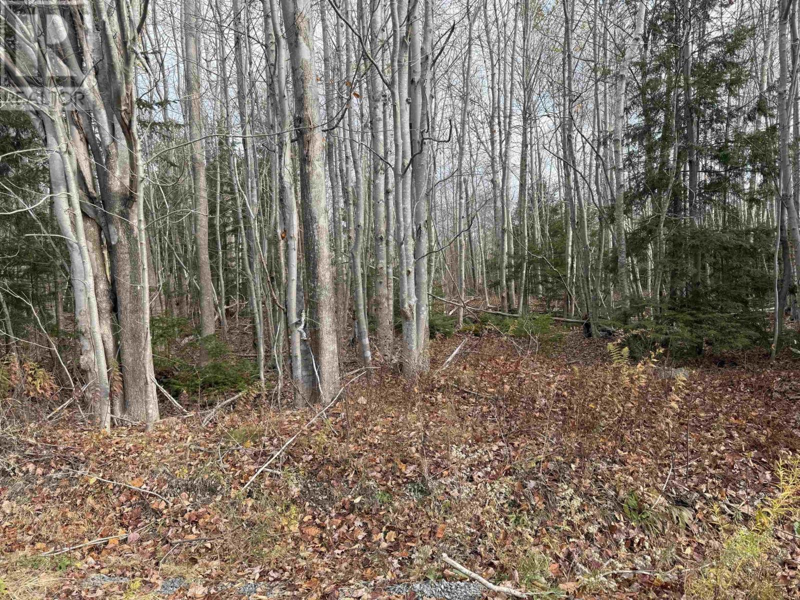 Lot Pid#60421732 Highway 325, Blockhouse, Nova Scotia  B0J 1E0 - Photo 4 - 202527341