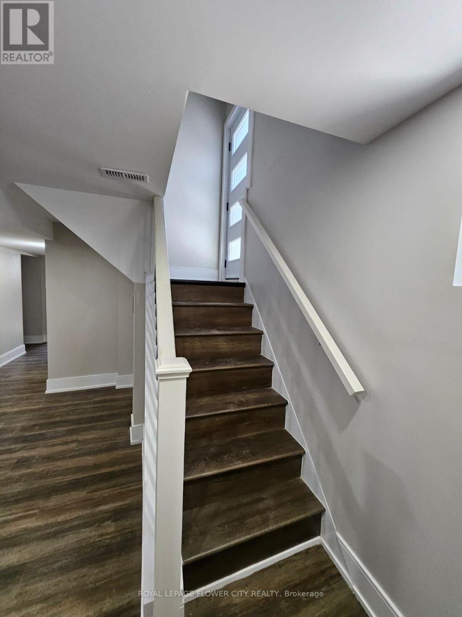 Basement - 221 Acton Avenue, Toronto, Ontario  M3H 4H8 - Photo 12 - C12521772