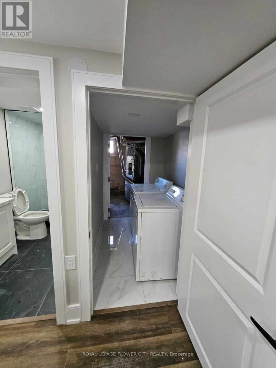 Basement - 221 Acton Avenue, Toronto, Ontario  M3H 4H8 - Photo 3 - C12521772