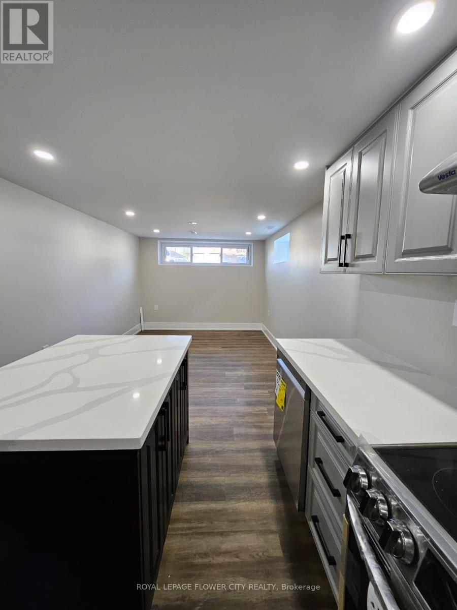 Basement - 221 Acton Avenue, Toronto, Ontario  M3H 4H8 - Photo 9 - C12521772