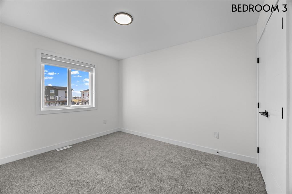 313 Numeracy Lane, Winnipeg, Manitoba  R2P 3A6 - Photo 23 - 202528037