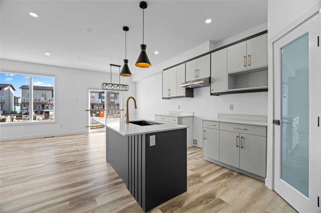 313 Numeracy Lane, Winnipeg, Manitoba  R2P 3A6 - Photo 5 - 202528037