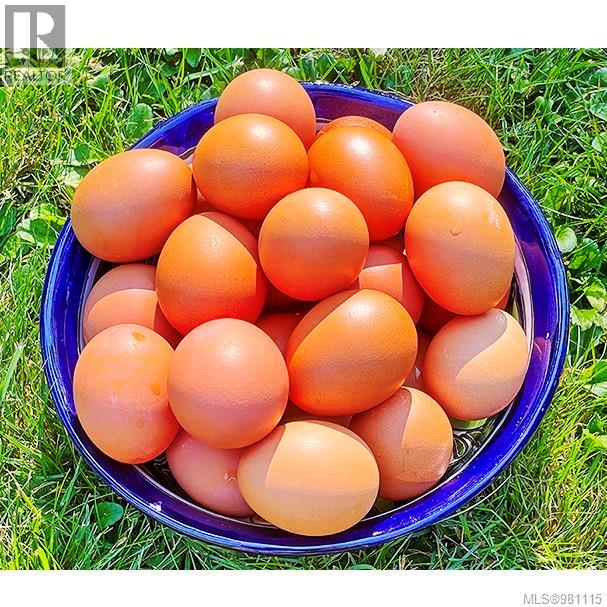 2974 Haslam Rd, Nanaimo, British Columbia V9X 1T1 - Photo 88 - 981115