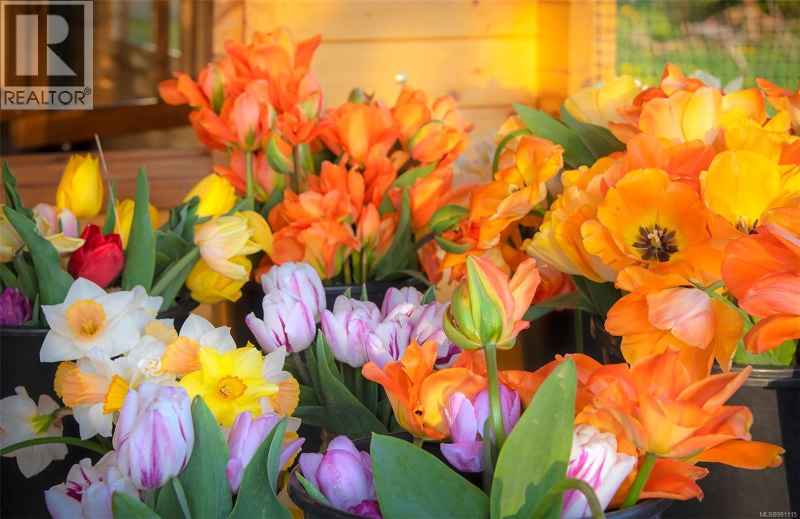 2974 Haslam Rd, Nanaimo, British Columbia V9X 1T1 - Photo 80 - 981115