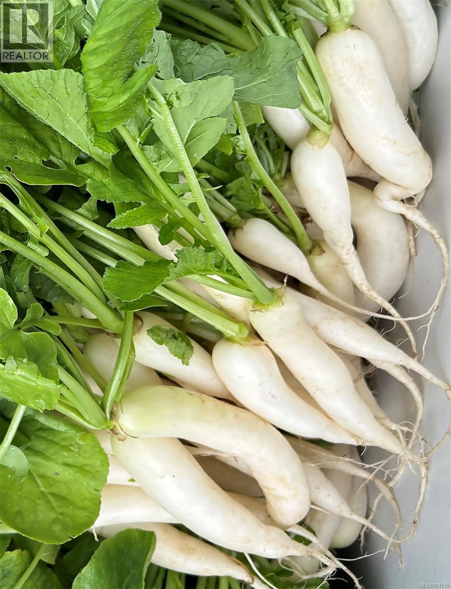 2974 Haslam Rd, Nanaimo, British Columbia V9X 1T1 - Photo 89 - 981115