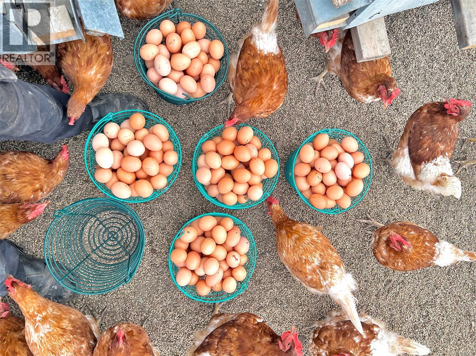 2974 Haslam Rd, Nanaimo, British Columbia V9X 1T1 - Photo 77 - 981115