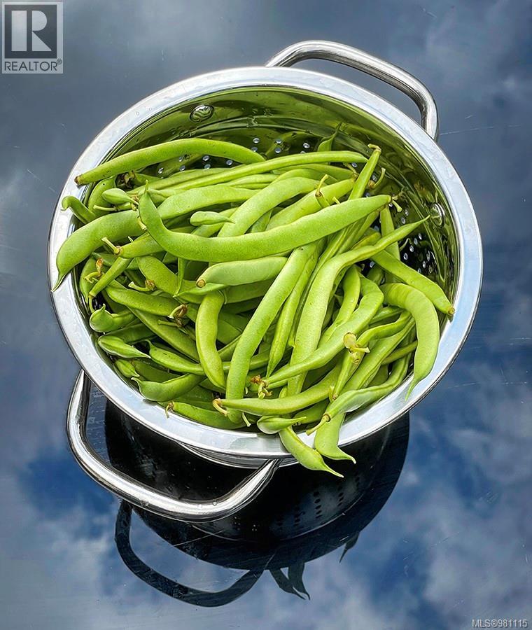 2974 Haslam Rd, Nanaimo, British Columbia V9X 1T1 - Photo 90 - 981115