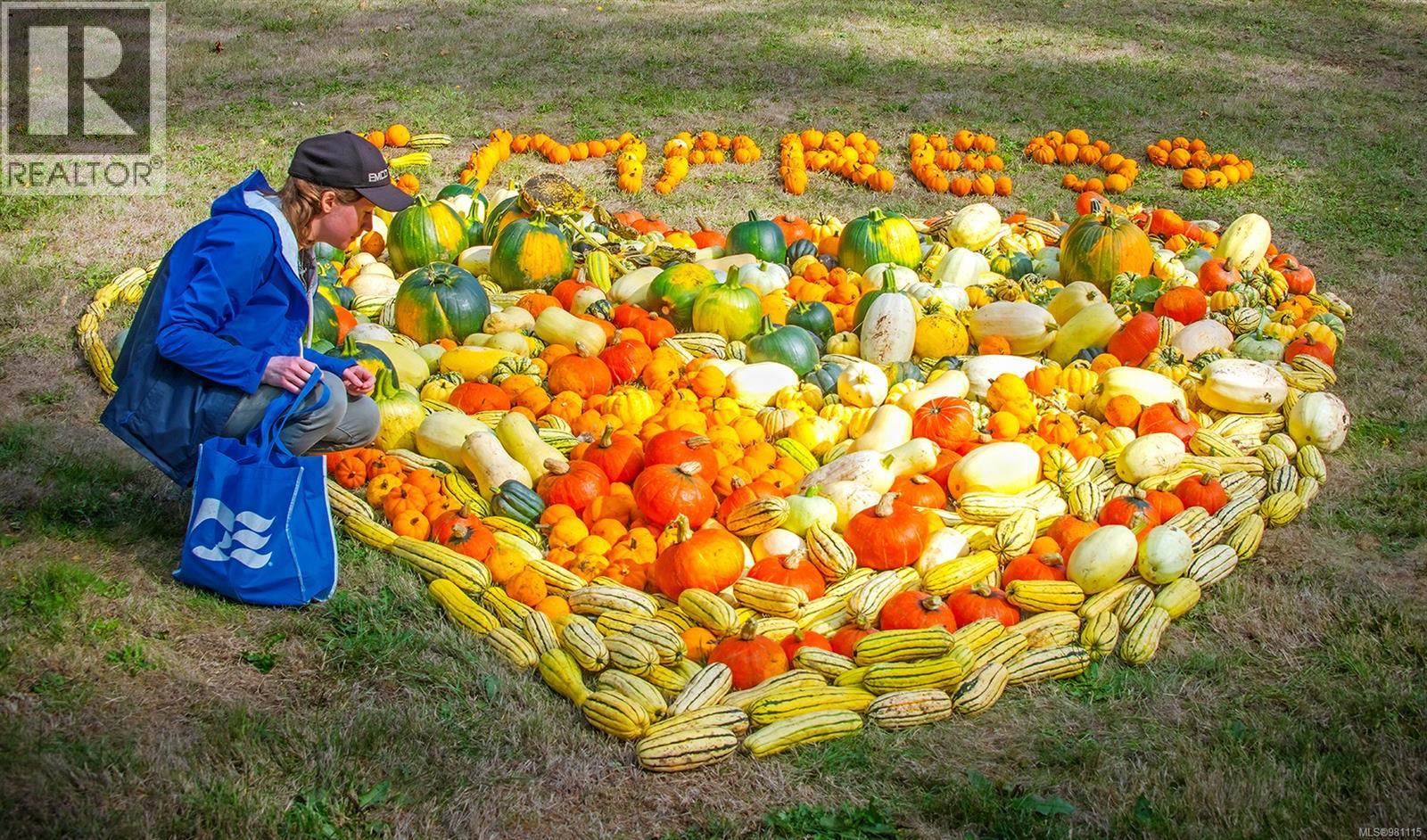 2974 Haslam Rd, Nanaimo, British Columbia V9X 1T1 - Photo 81 - 981115