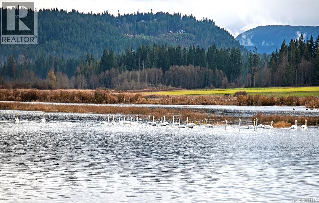 2974 Haslam Rd, Nanaimo, British Columbia V9X 1T1 - Photo 98 - 981115