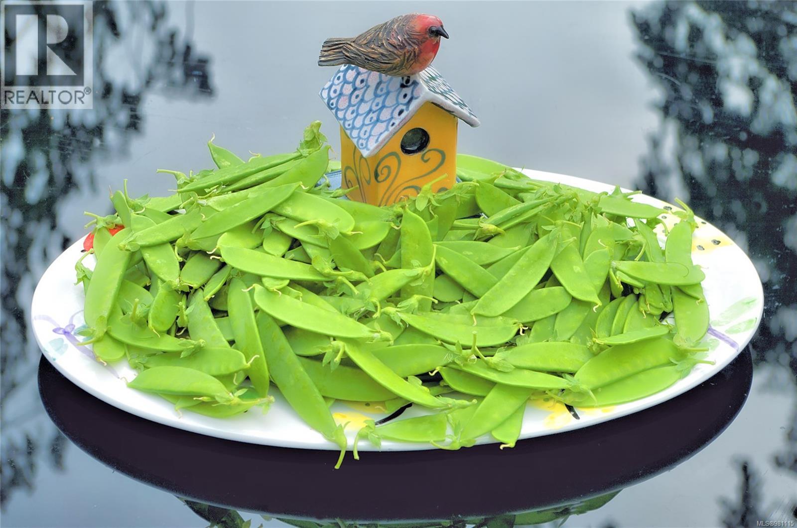 2974 Haslam Rd, Nanaimo, British Columbia V9X 1T1 - Photo 93 - 981115