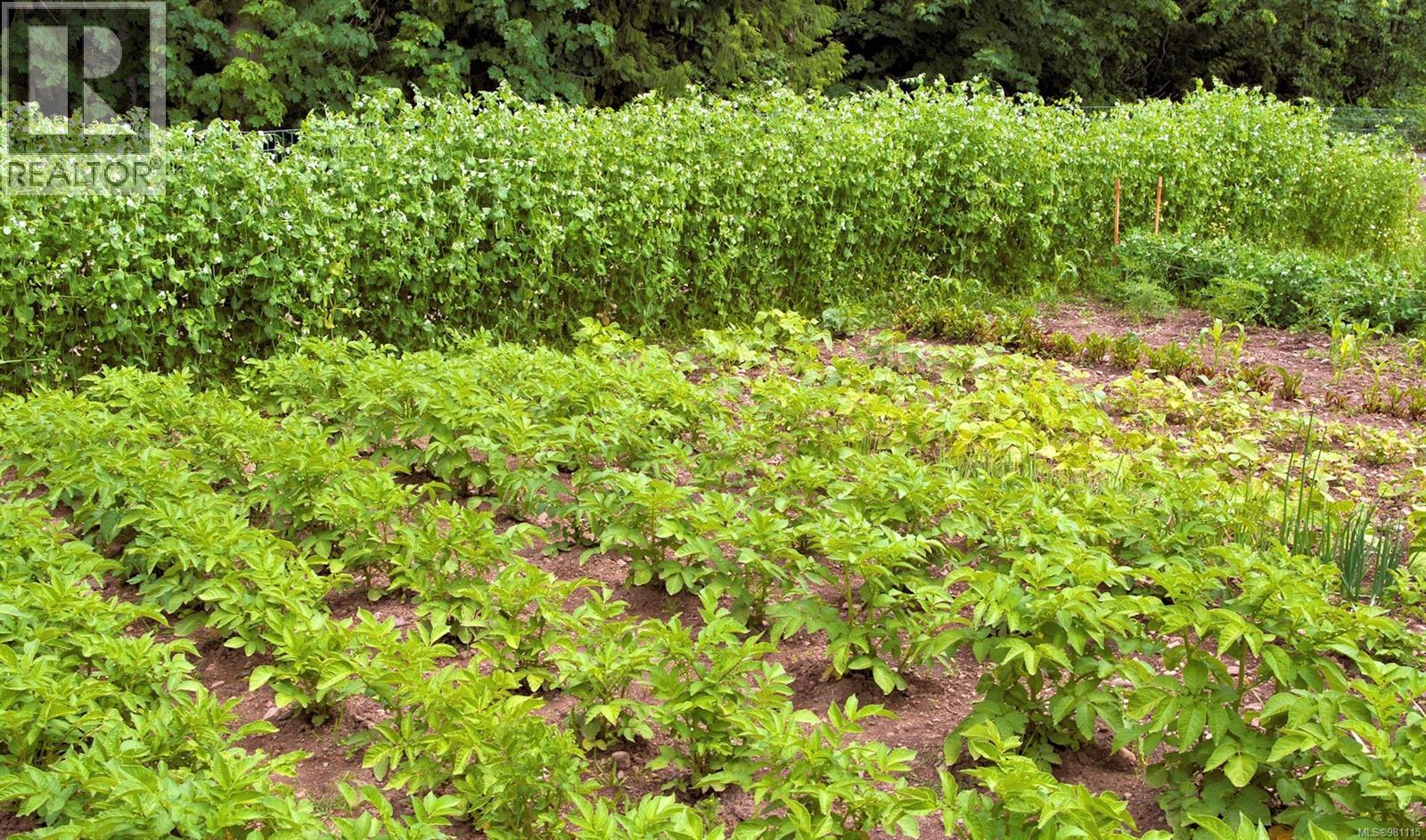 2974 Haslam Rd, Nanaimo, British Columbia V9X 1T1 - Photo 87 - 981115