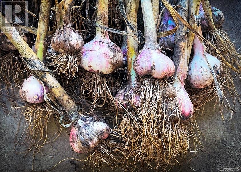 2974 Haslam Rd, Nanaimo, British Columbia V9X 1T1 - Photo 91 - 981115