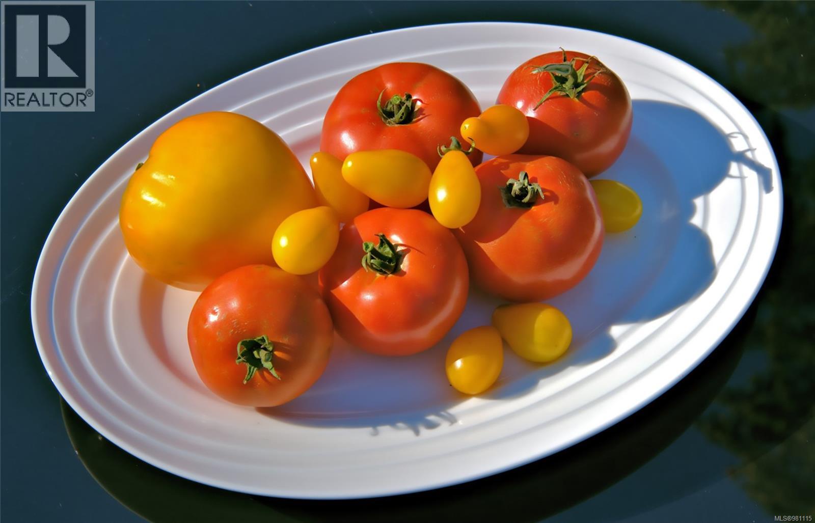 2974 Haslam Rd, Nanaimo, British Columbia V9X 1T1 - Photo 96 - 981115