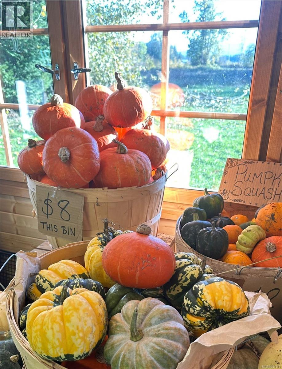 2974 Haslam Rd, Nanaimo, British Columbia V9X 1T1 - Photo 95 - 981115