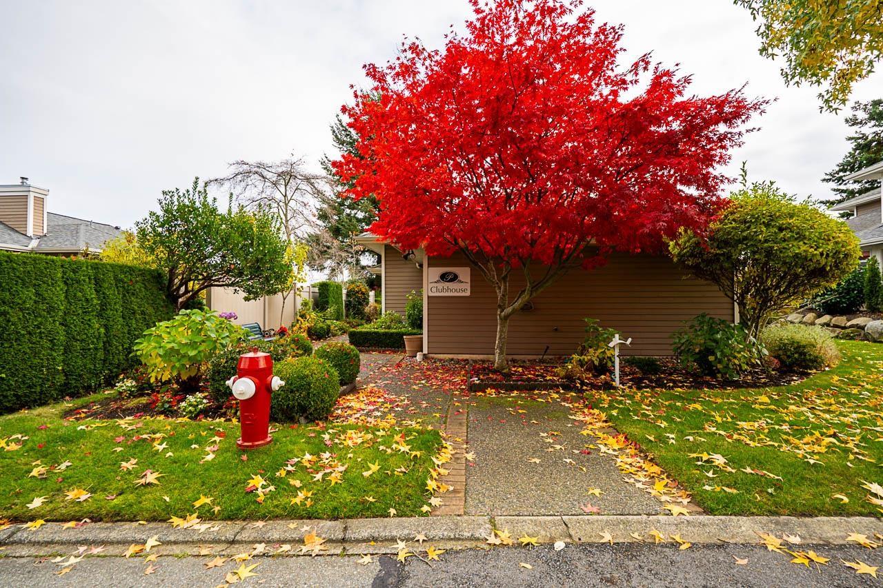 66 2500 152 Street, Surrey, British Columbia V4P 1M8 - Photo 36 - R3065456