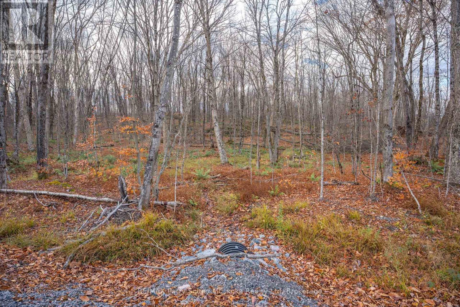 Part 7 Standing People Road, Seguin, Ontario  P2A 2W8 - Photo 21 - X12509342