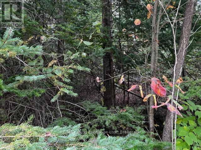 3 Shore Road, Saugeen Shores, Ontario N0H 2L0 - Photo 5 - X12521940