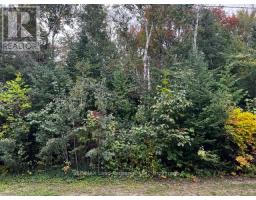 3 SHORE ROAD, Saugeen Shores, Ontario