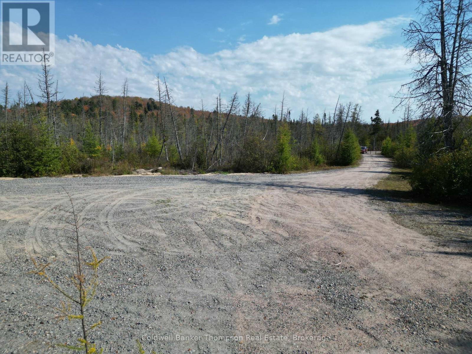 809-865 Spring Hill Road W, Ryerson, Ontario P0A 1C0 - Photo 10 - X12522008