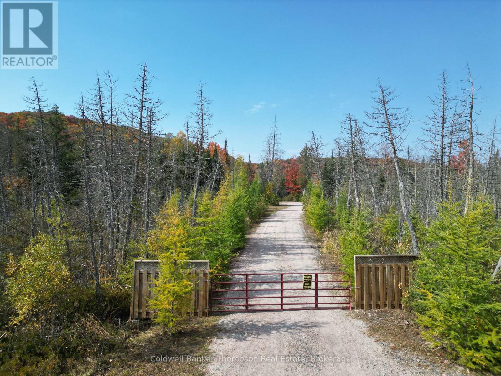 809-865 Spring Hill Road W, Ryerson, Ontario P0A 1C0 - Photo 11 - X12522008