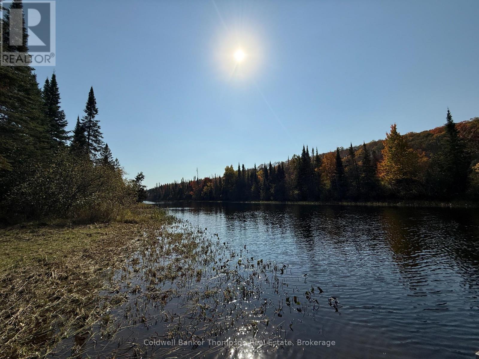 809-865 Spring Hill Road W, Ryerson, Ontario P0A 1C0 - Photo 16 - X12522008