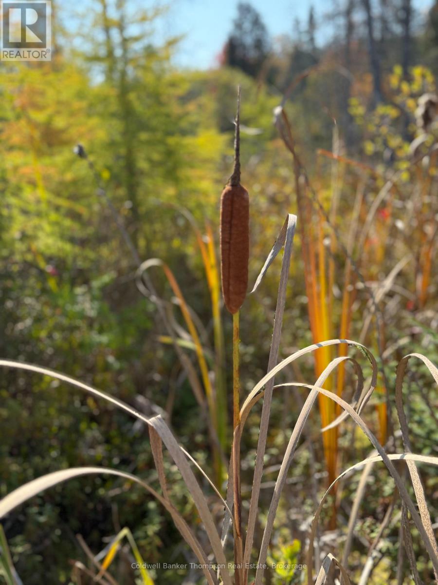 809-865 Spring Hill Road W, Ryerson, Ontario P0A 1C0 - Photo 19 - X12522008