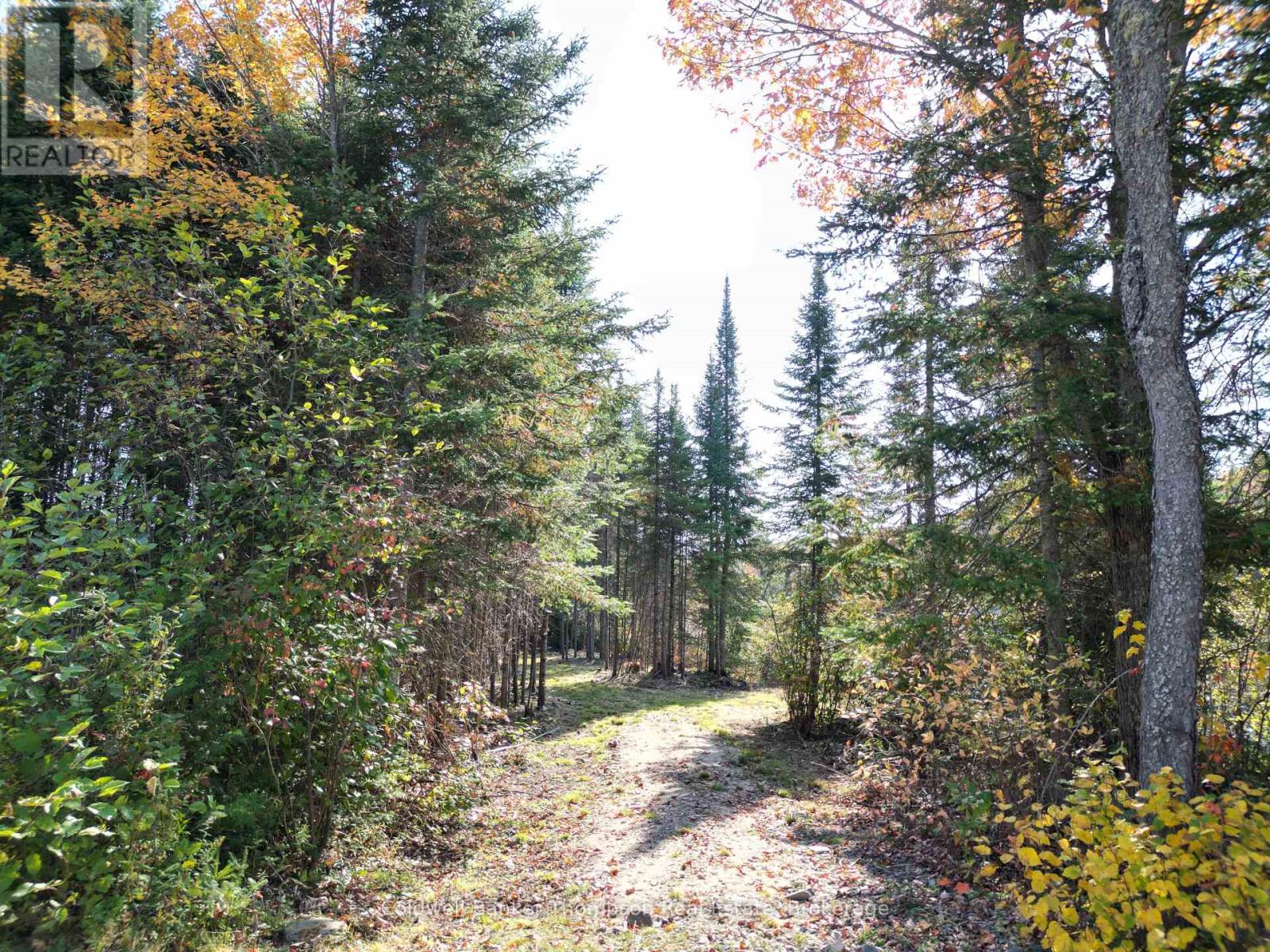 809-865 Spring Hill Road W, Ryerson, Ontario P0A 1C0 - Photo 5 - X12522008