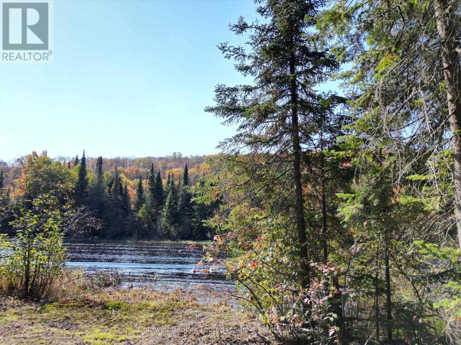 809-865 Spring Hill Road W, Ryerson, Ontario P0A 1C0 - Photo 6 - X12522008