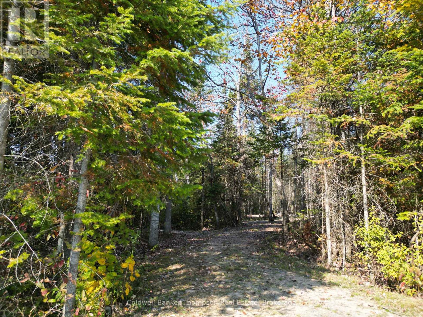 809-865 Spring Hill Road W, Ryerson, Ontario P0A 1C0 - Photo 7 - X12522008