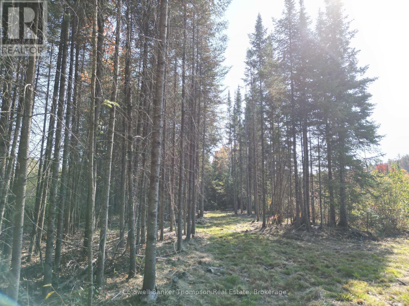 809-865 Spring Hill Road W, Ryerson, Ontario P0A 1C0 - Photo 8 - X12522008