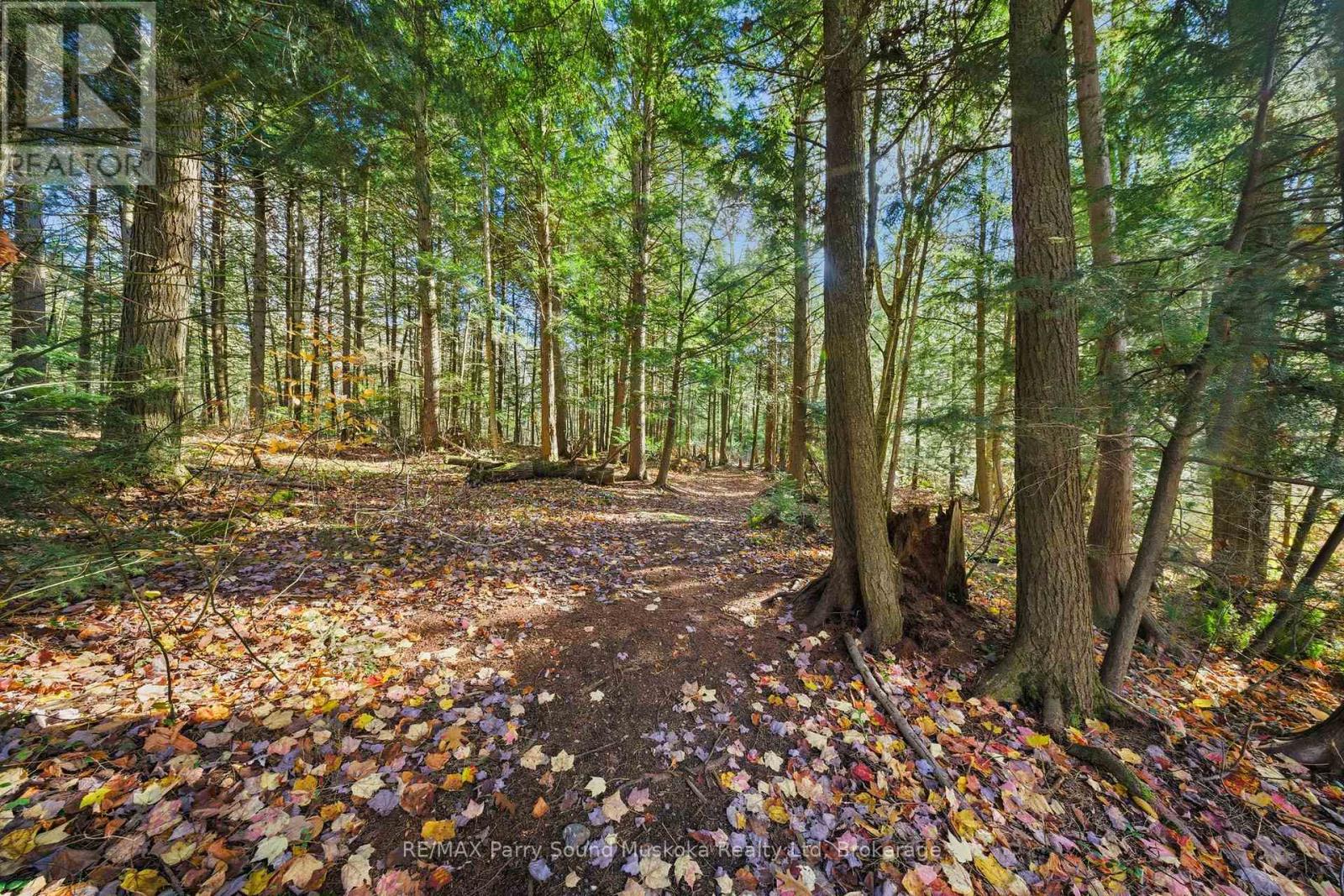 66 Clear Lake Road, Seguin, Ontario P0C 1H0 - Photo 31 - X12522098