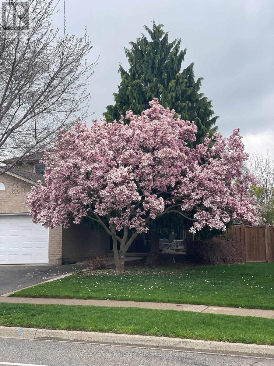 471 Deerhurst Drive, Burlington, Ontario L7L 5T4 - Photo 33 - W12522296