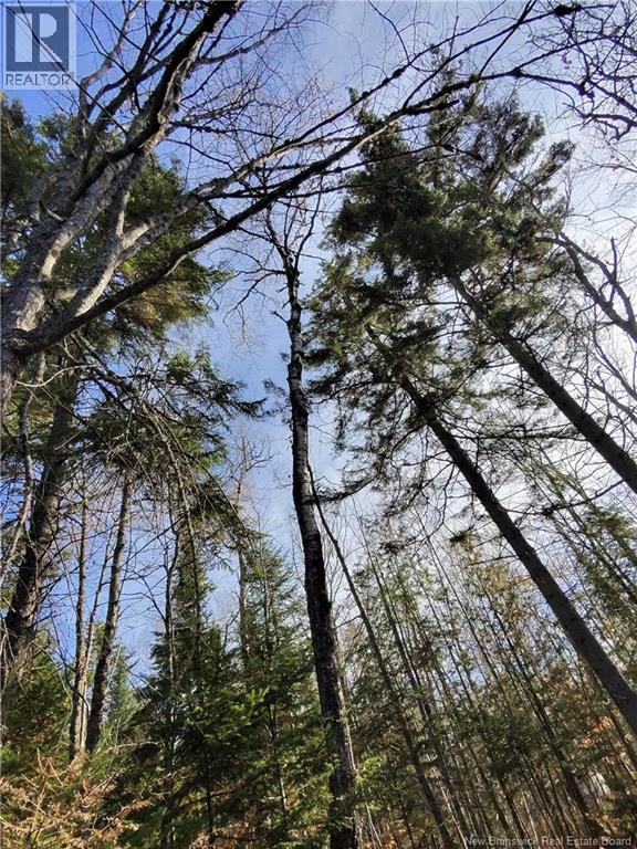 7 Annie Lane, Dumfries, New Brunswick  E6G 1S5 - Photo 9 - NB129711