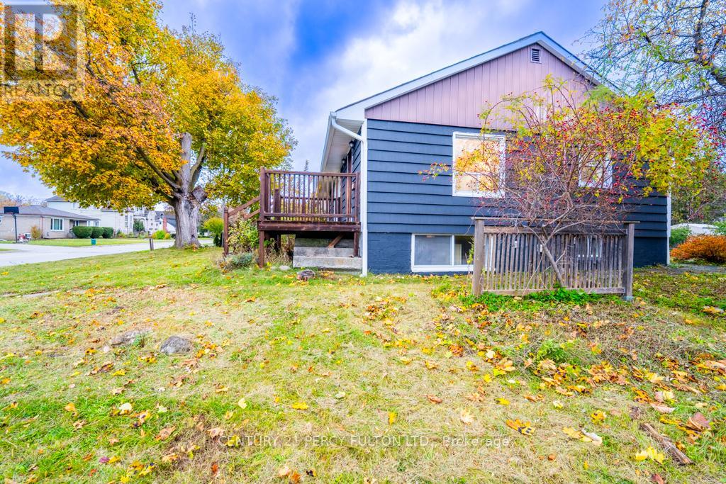 243 Ruggles Avenue, Richmond Hill, Ontario  L4C 1Y6 - Photo 4 - N12521878